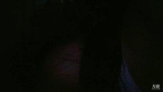 双倍亲密度 11177