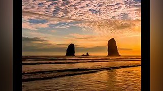 不羡鸳鸯不羡仙啊