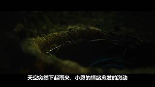 【恐怖片】专注恐怖片赏析与原创解说！！！