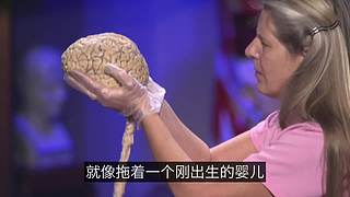 科学黑历史