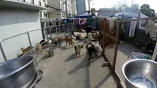 当下频道的当下世界