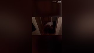 妈见打ovo的直播间