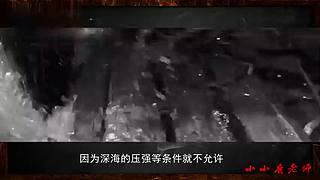 小小鹿的恐怖故事馆（故事内容仅为小说）