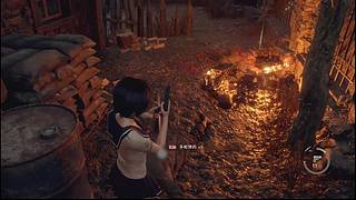 播个王阿姨的DLC