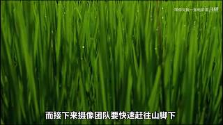 LOLM春风扶杨柳，敢问是段友