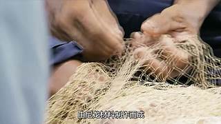 荒野求生纪录片小天地