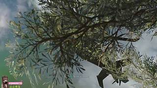 【小奶团】山海自有归期，风雨自有相逢