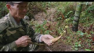 娱乐大于一切 10440627