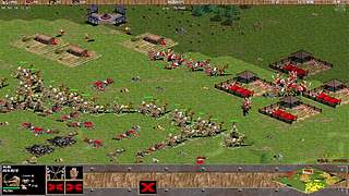 三毛锅来了的直播间