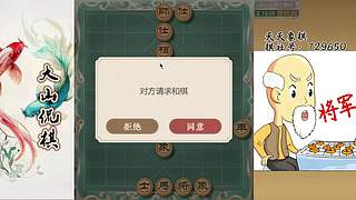 正在直播中 最新网络布局飞刀~~