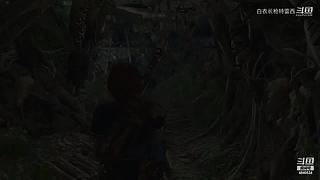 无兄弟不篮球 4840534