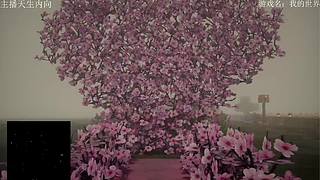 失眠者福音~闭眼听播~~~~