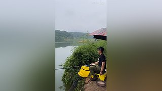 亮gnailux的直播间