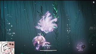 新主播求关注哟一起666