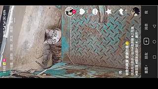 八爪鱼的直播间 11503687