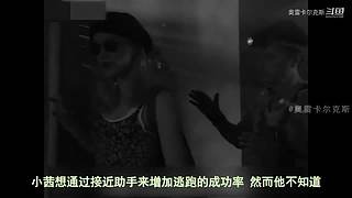 【奥雷】带你看遍奇葩老电影