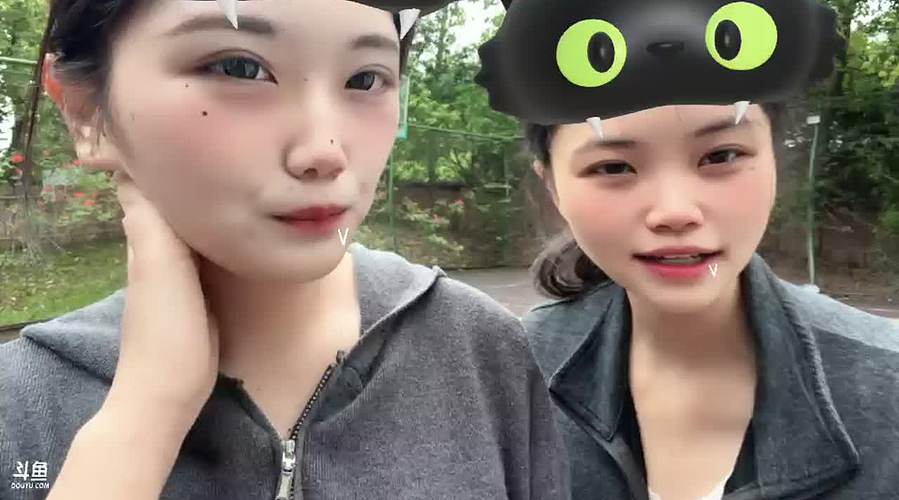 该用户关注了你12739861