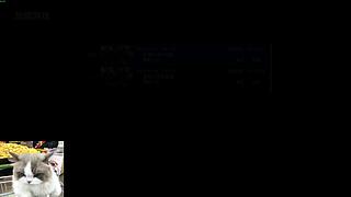 热爱FPS的老年人