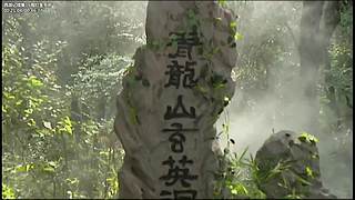 美丽的孔雀公主