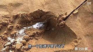 大齐赶海，又是出大货的一天