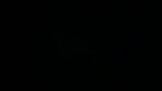 大星与海绵方块