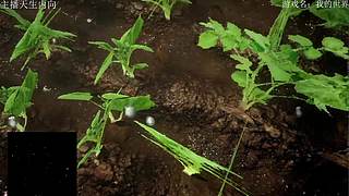 失眠者福音~闭眼听播~~~~