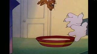 枫泽雨畔的直播间