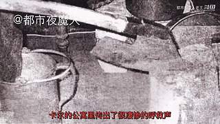 扑朔迷离的案件里隐藏着什么？