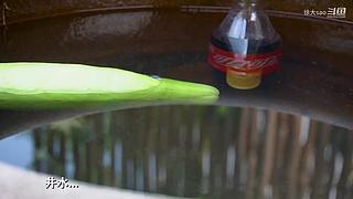 今天咱们吃一顿好的，持续更新..