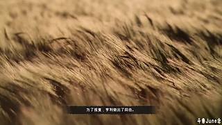 帝国时代4战役剧情