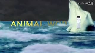 魏蜀吴群雄争霸，发弹幕加入国战