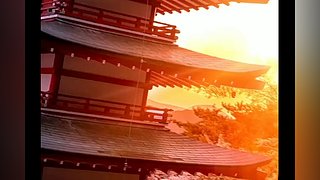 不羡鸳鸯不羡仙啊