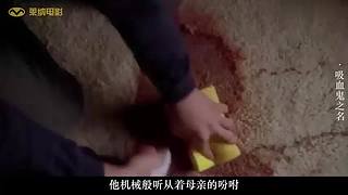 带您进入莱纳电影的电影世界