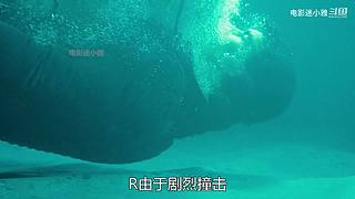 迷小雅最新爽剧解说