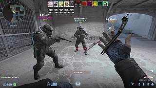 别人二十岁帕拉梅拉 我二十岁饿了喊妈