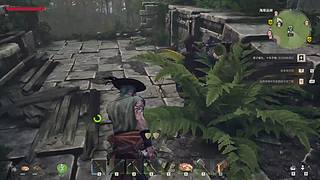 神秘的直播间 88080