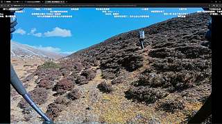 没枪的小男孩（ÒωÓױ)