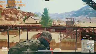 招募锦衣卫，稳定上分，欢迎上车