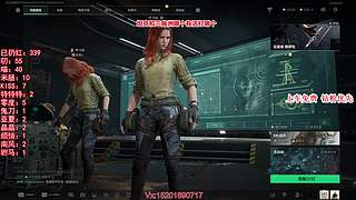 鸟、上车一起玩