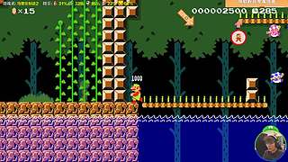 我可能玩了假的马里奥