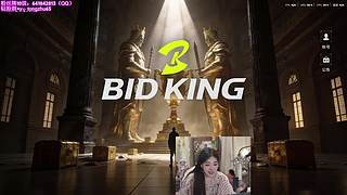 竞拍之王猪王。