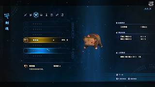 10996111的直播间