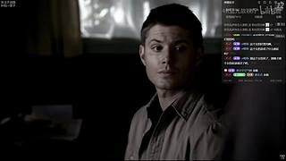 专心经营呆萌生活