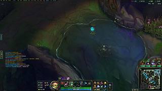 鱼蛋队长的直播间