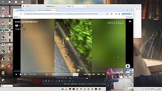 蜘蛛馍：打野教学每晚12点直播 不见不散