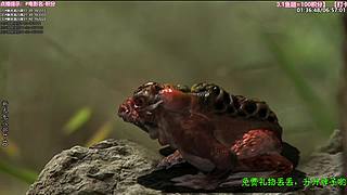 ❤️怡宝❤️陪你重刷【精彩热剧】