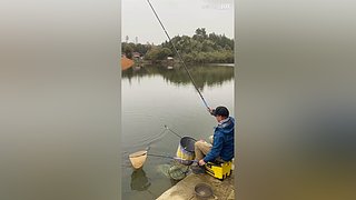 亮gnailux的直播间