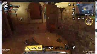 国服第一AKS大师小菜鸡