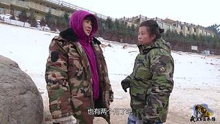 【狼王出没】欢迎围观我的新疆养狼日常！