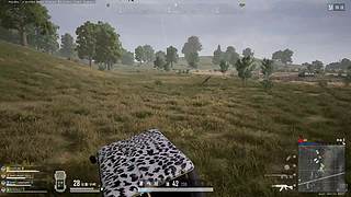 来来的直播间 8890832